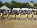 image/z-180845_maturi (53).jpg